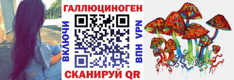 дарк нет официальный сайт  Пятигорск  Псилоцибиновые грибы ЛСД 