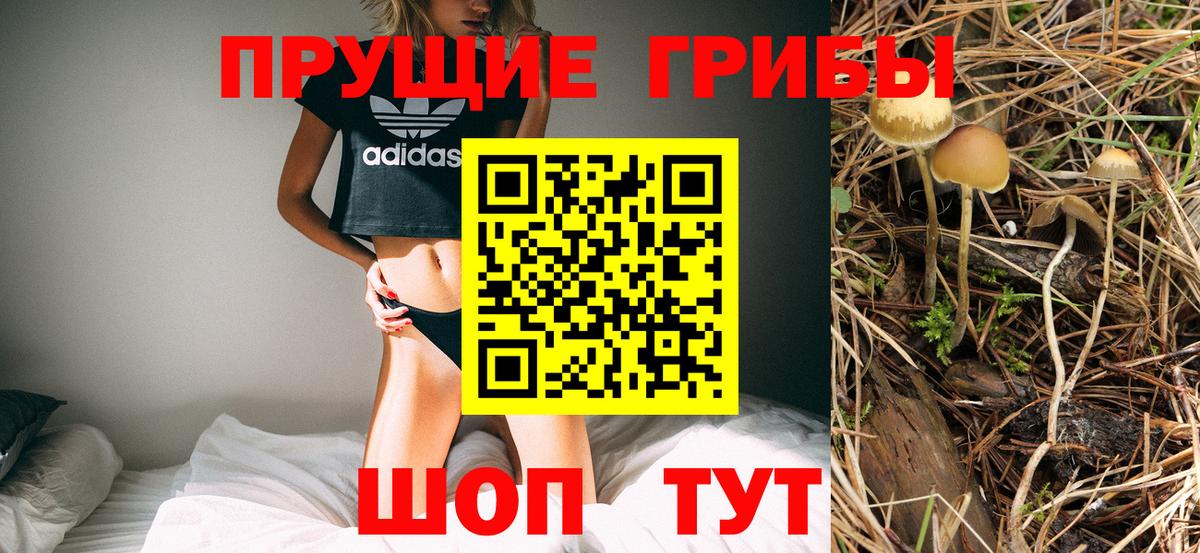 Пятигорск  Псилоцибиновые грибы мухоморы  Вход с VPN 