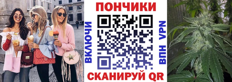 закладка  Пятигорск  Шишки марихуана план 